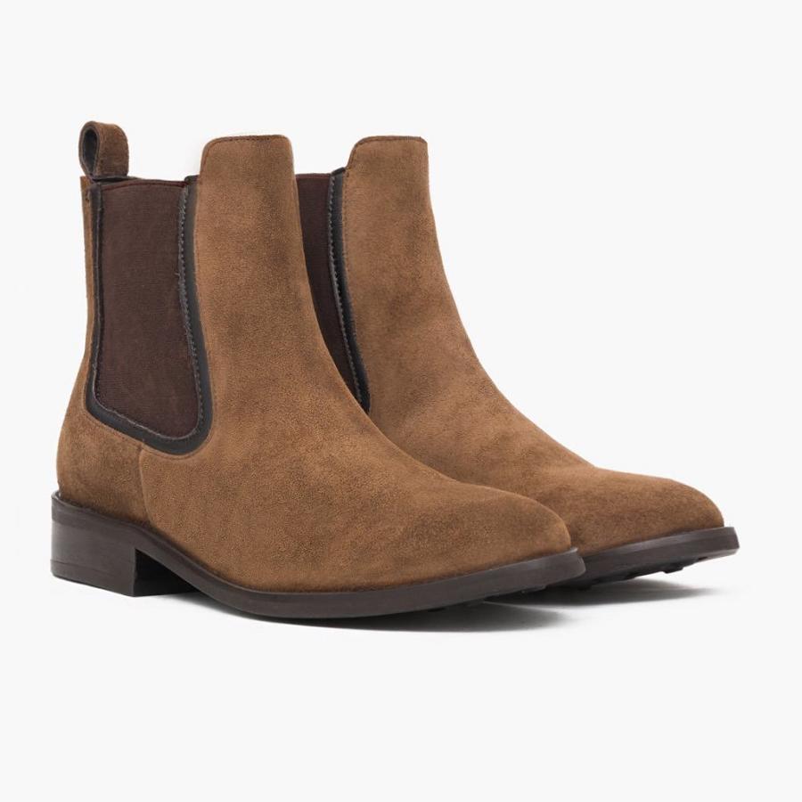 Stivaletti Chelsea Thursday Boots Duchess Scamosciate Donna Marroni | IT367PJJ