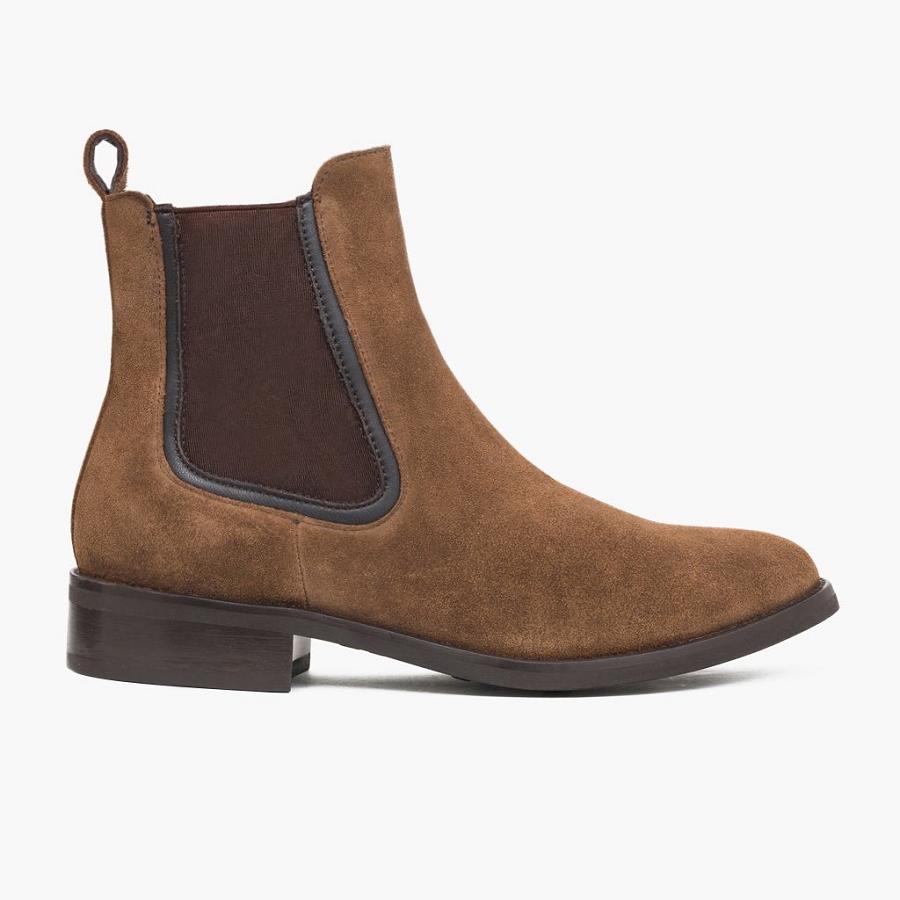 Stivaletti Chelsea Thursday Boots Duchess Scamosciate Donna Marroni | IT367PJJ