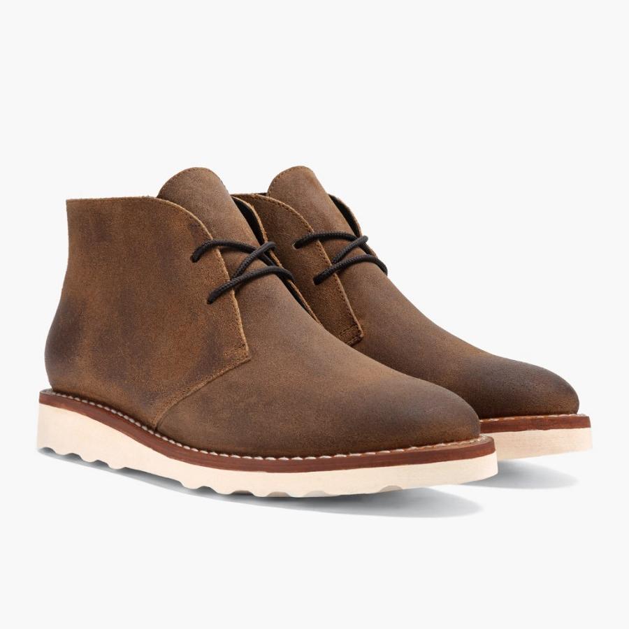 Stivali Chukka Thursday Boots Scout Scamosciate Uomo Marroni | IT60TCE