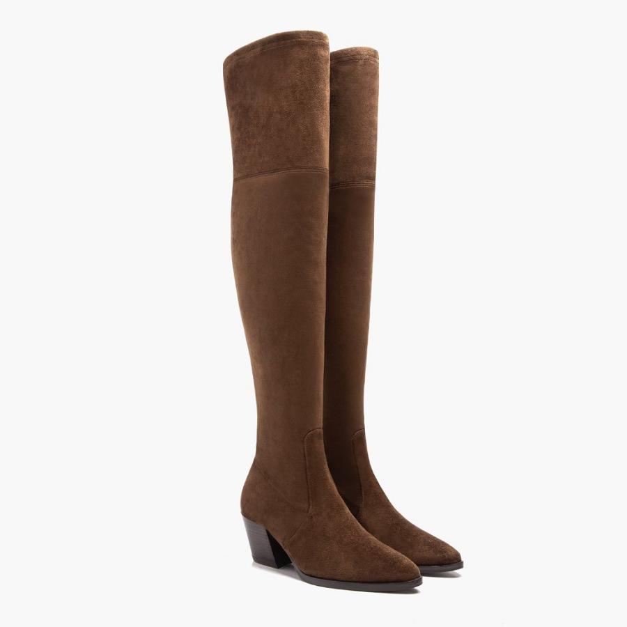 Tacchi Alti Thursday Boots Boots Tempest Scamosciate Donna Marroni | IT418AHK