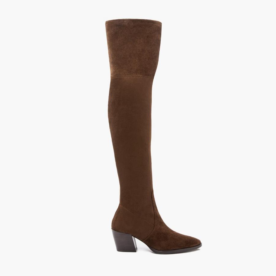 Tacchi Alti Thursday Boots Boots Tempest Scamosciate Donna Marroni | IT418AHK