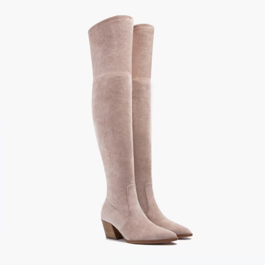 Tacchi Alti Thursday Boots Boots Tempest Scamosciate Donna Rosa Marroni | IT421ILH