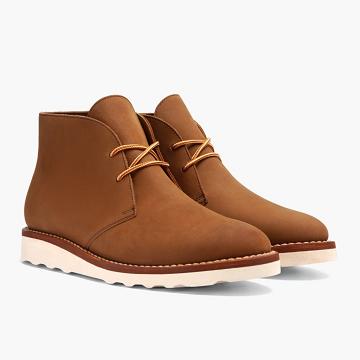 Stivali Stringati Thursday Boots Scout Nubuck Uomo Marroni | IT121CTV